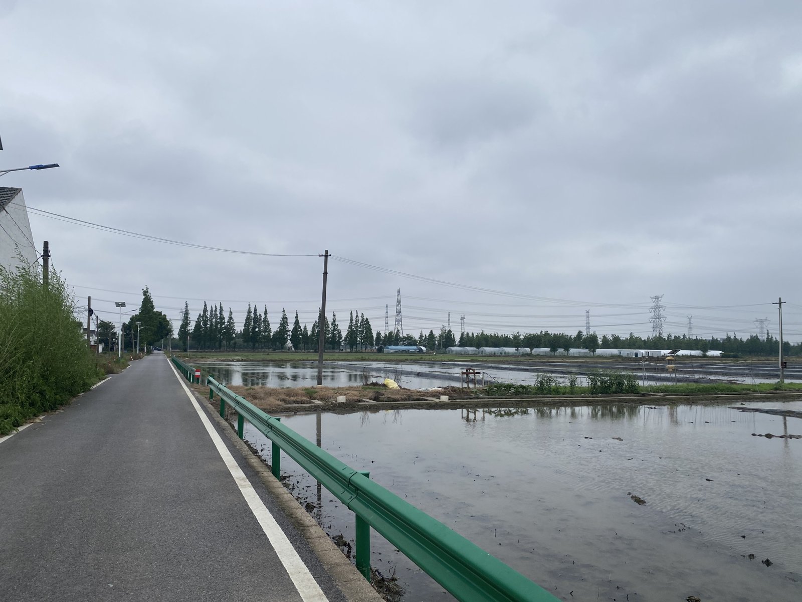 A paved path beside experimental fields